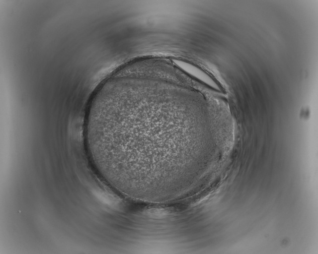 X0000091000299200708161944