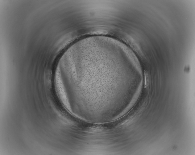 X0000091000300200708161944
