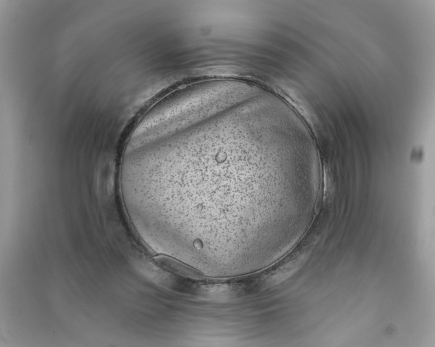 X0000091000301200708161944
