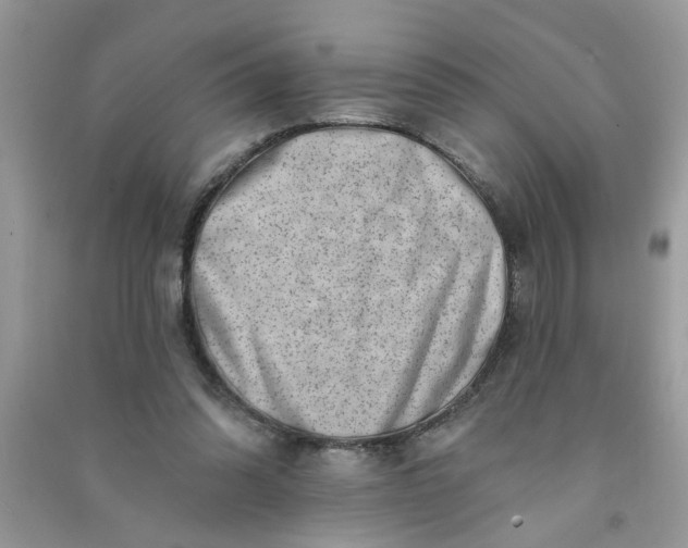 X0000091000302200708161944