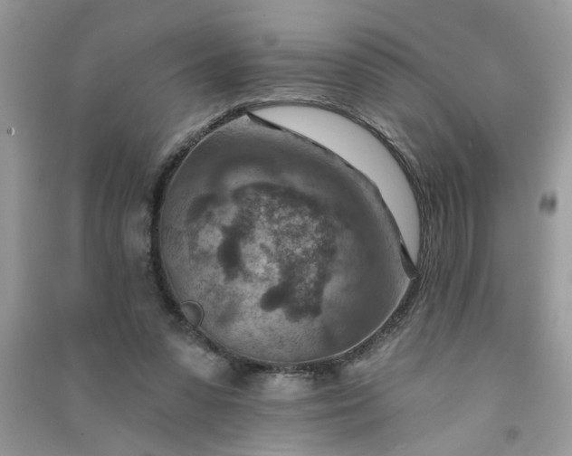 X0000091000303200708161944