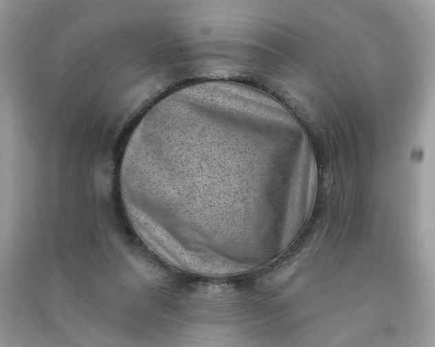 X0000091000304200708161944