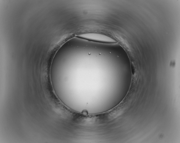 X0000091000306200708161944