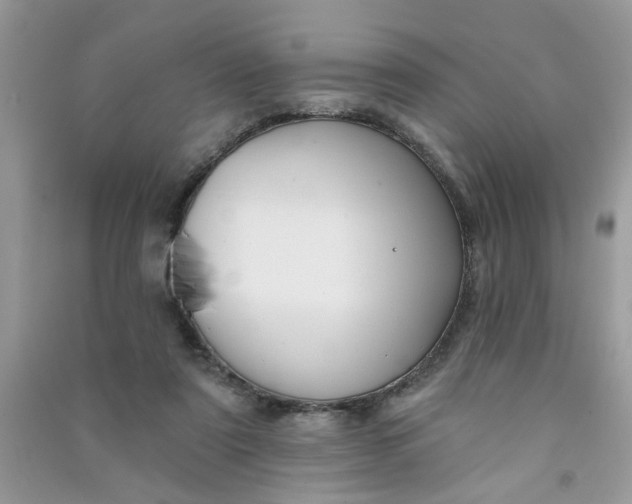 X0000091000307200708161944