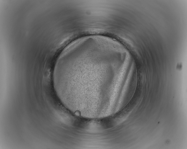 X0000091000308200708161944