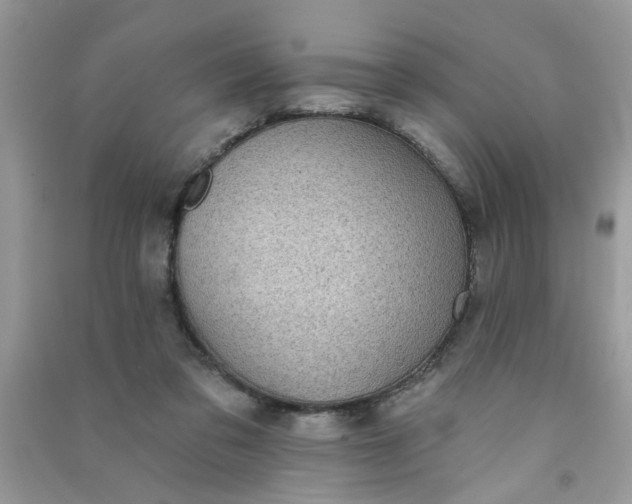 X0000091000309200708161943