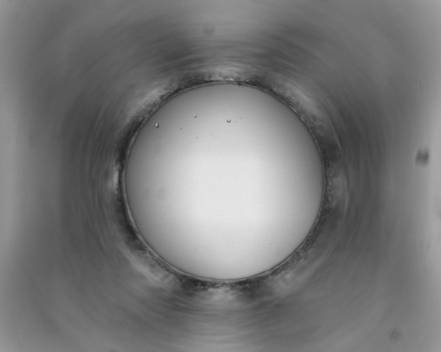 X0000091000310200708161943