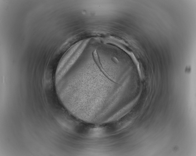 X0000091000312200708161943
