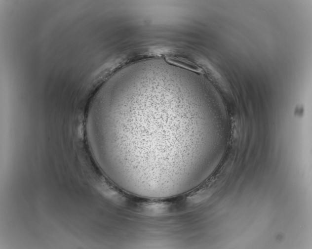X0000091000313200708161943