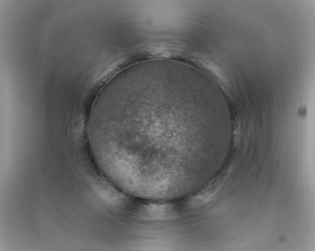 X0000091000314200708161943