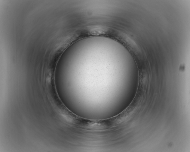 X0000091000315200708161943