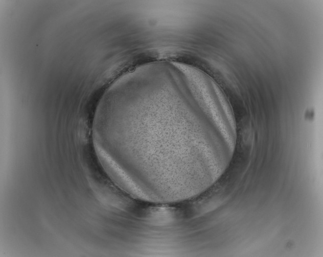 X0000091000316200708161943