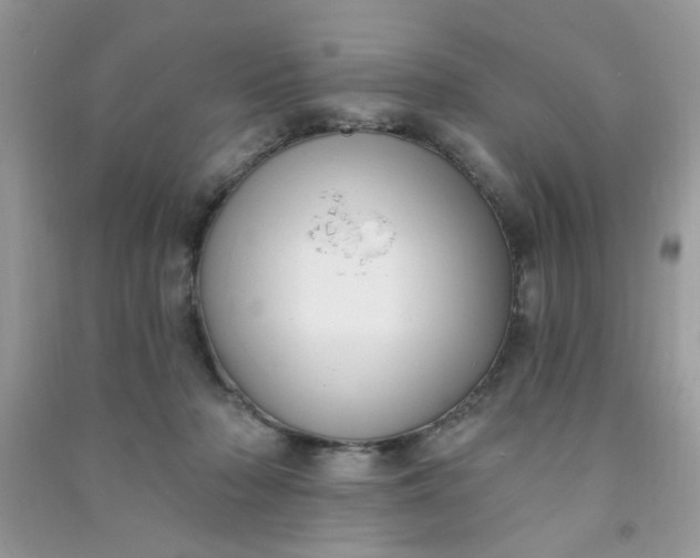 X0000091000318200708161943