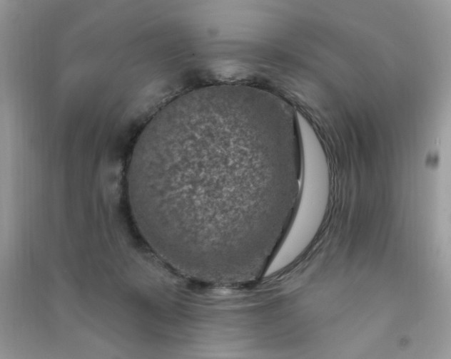 X0000091000319200708161943