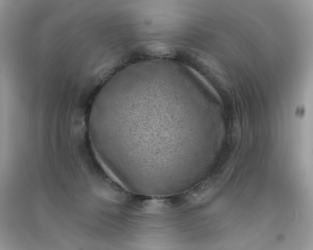 X0000091000320200708161943