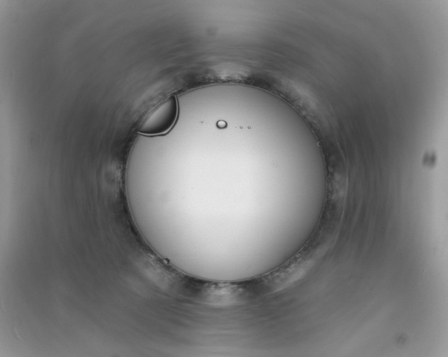 X0000091000321200708161943