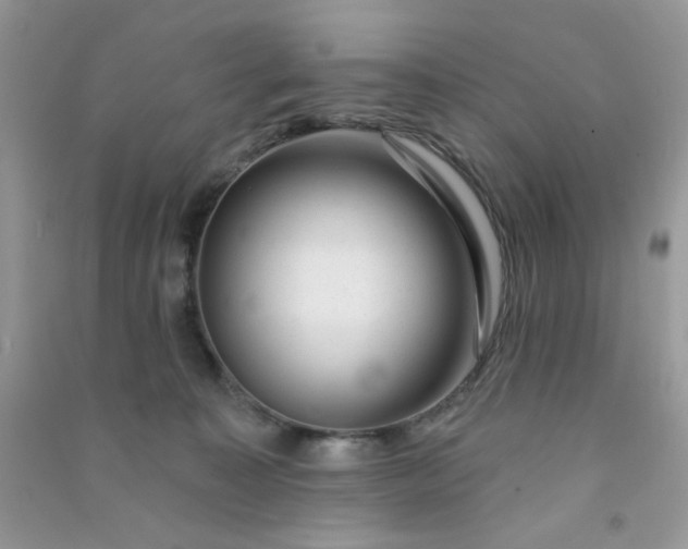 X0000091000323200708161943