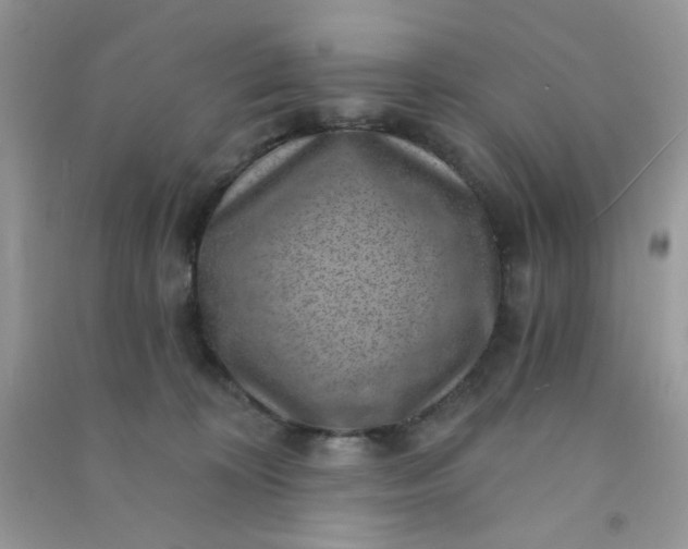 X0000091000324200708161943