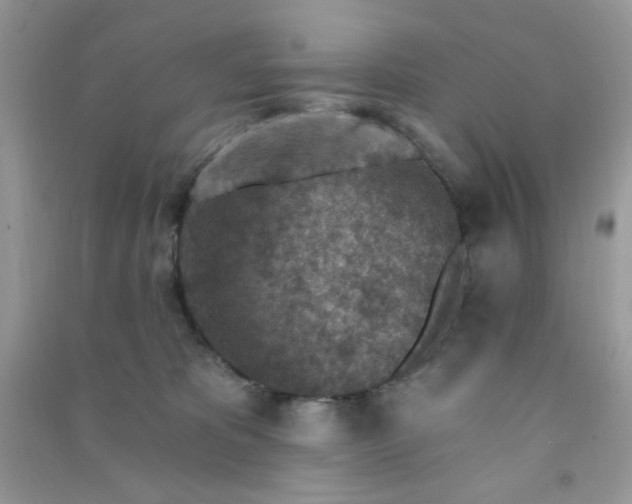 X0000091000325200708161943