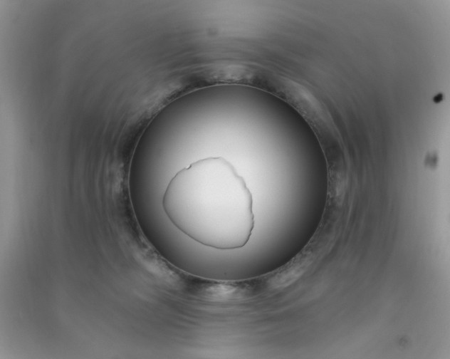 X0000091000326200708161943