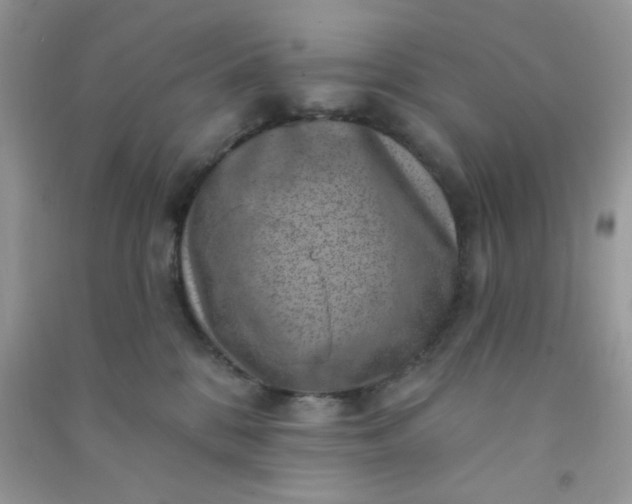 X0000091000328200708161943