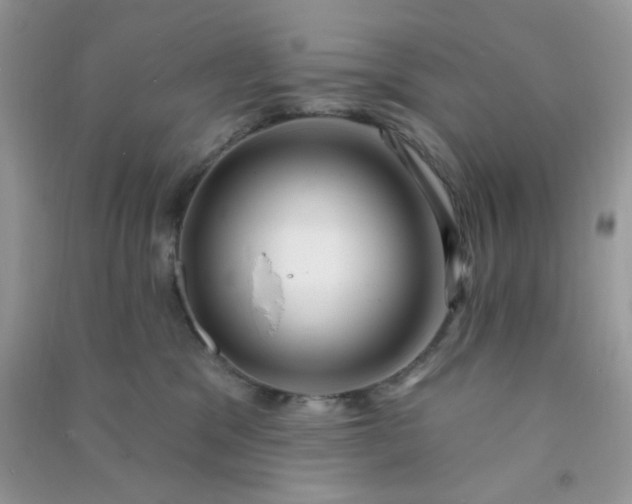 X0000091000329200708161943