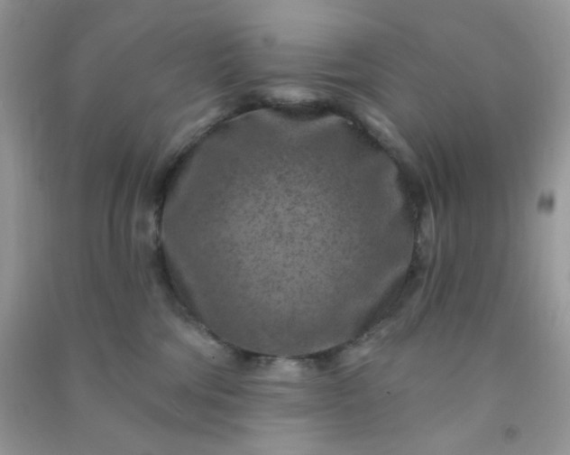 X0000091000330200708161943