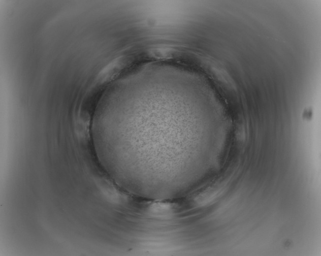 X0000091000332200708161943