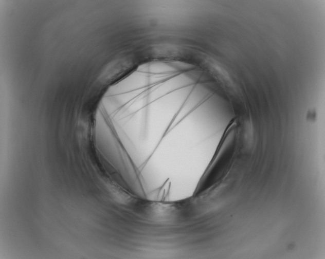 X0000091000333200708161943