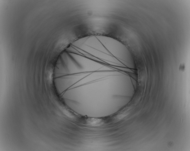X0000091000334200708161943