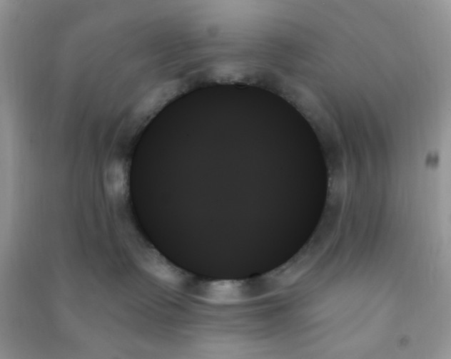 X0000091000335200708161943