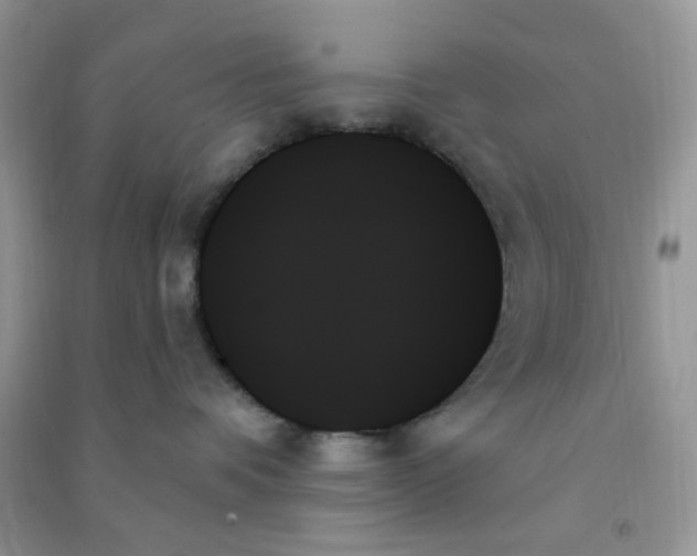 X0000091000336200708161943