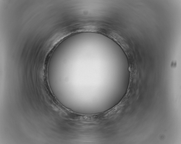 X0000091000338200708161942
