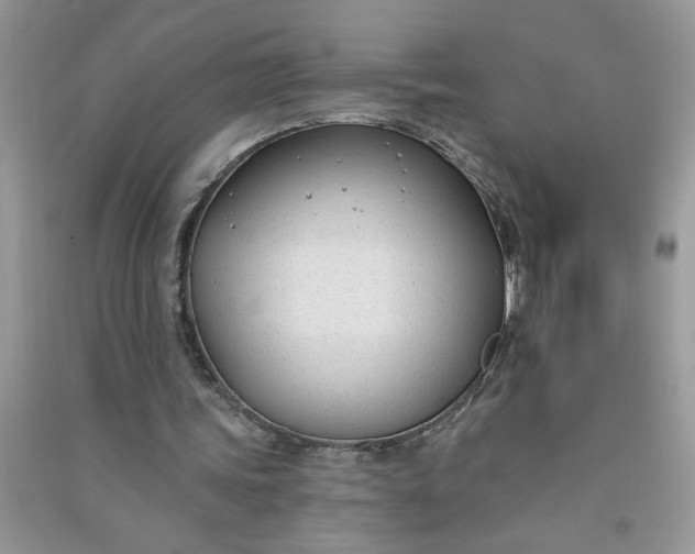 X0000091000339200708161942