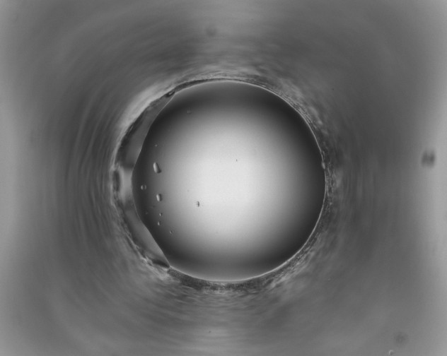 X0000091000340200708161942