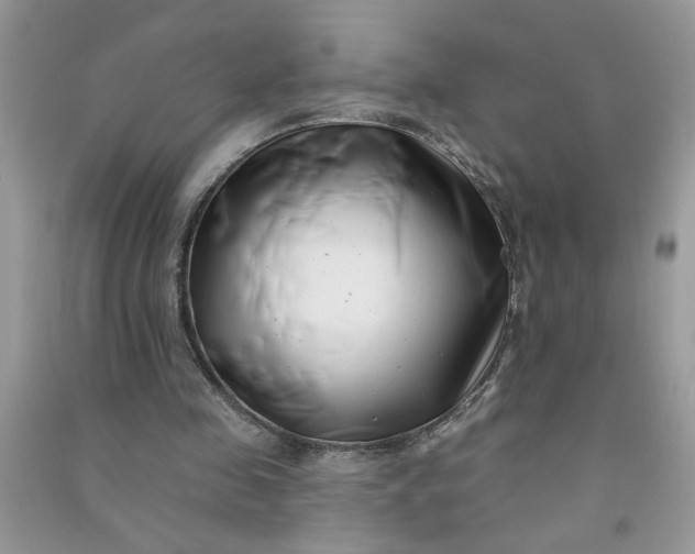 X0000091000341200708161942