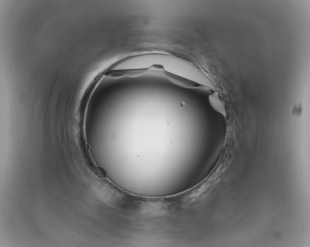 X0000091000342200708161942