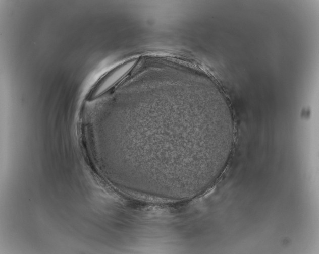 X0000091000343200708161942