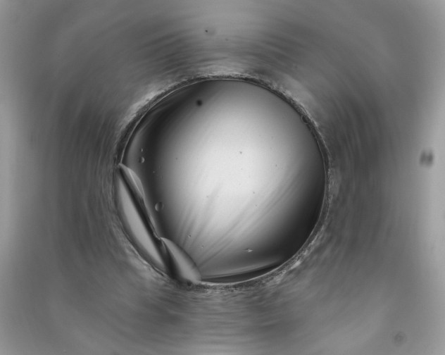 X0000091000345200708161942