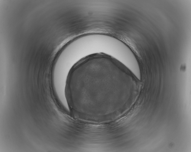 X0000091000348200708161943
