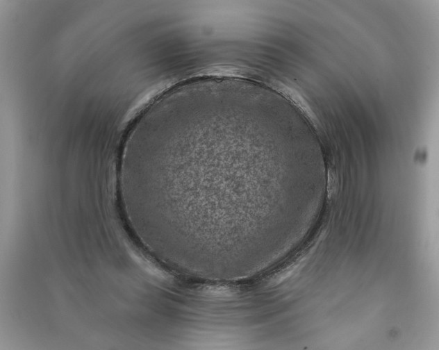 X0000091000349200708161943