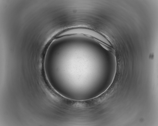 X0000091000350200708161943