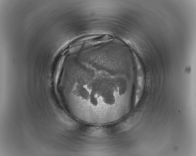 X0000091000351200708161943