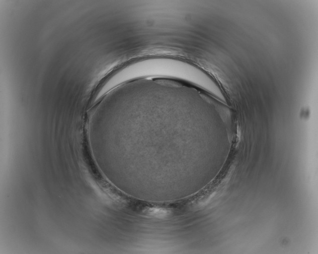 X0000091000352200708161943