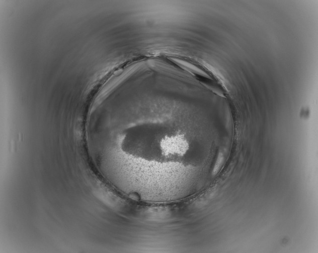 X0000091000353200708161943