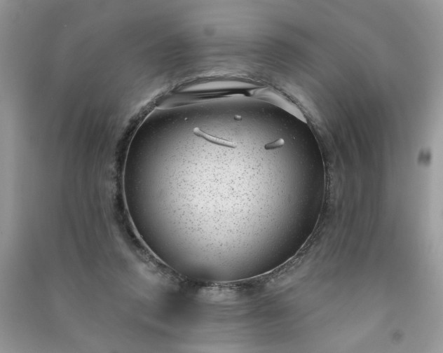 X0000091000354200708161943