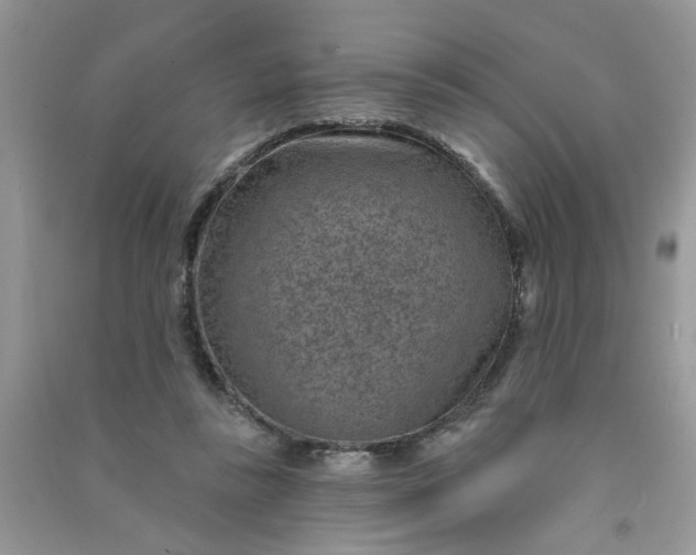 X0000091000355200708161943