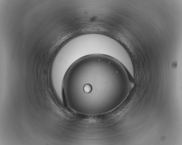 X0000091000356200708161943