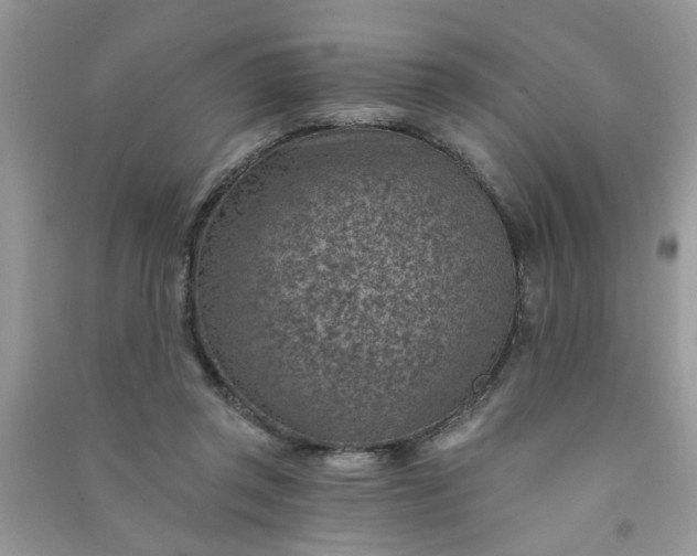 X0000091000357200708161943