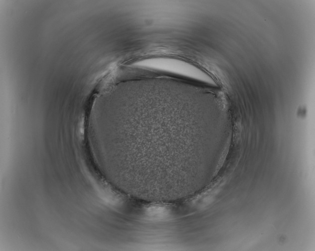 X0000091000358200708161943